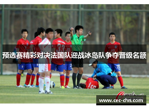 预选赛精彩对决法国队迎战冰岛队争夺晋级名额