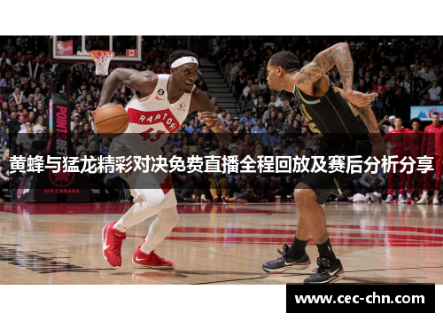 黄蜂与猛龙精彩对决免费直播全程回放及赛后分析分享