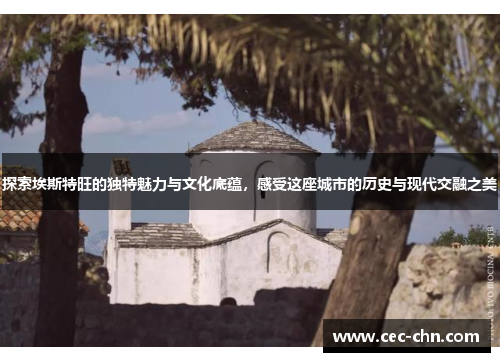 探索埃斯特旺的独特魅力与文化底蕴，感受这座城市的历史与现代交融之美