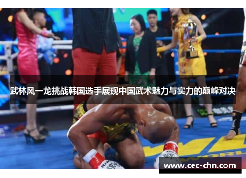 武林风一龙挑战韩国选手展现中国武术魅力与实力的巅峰对决